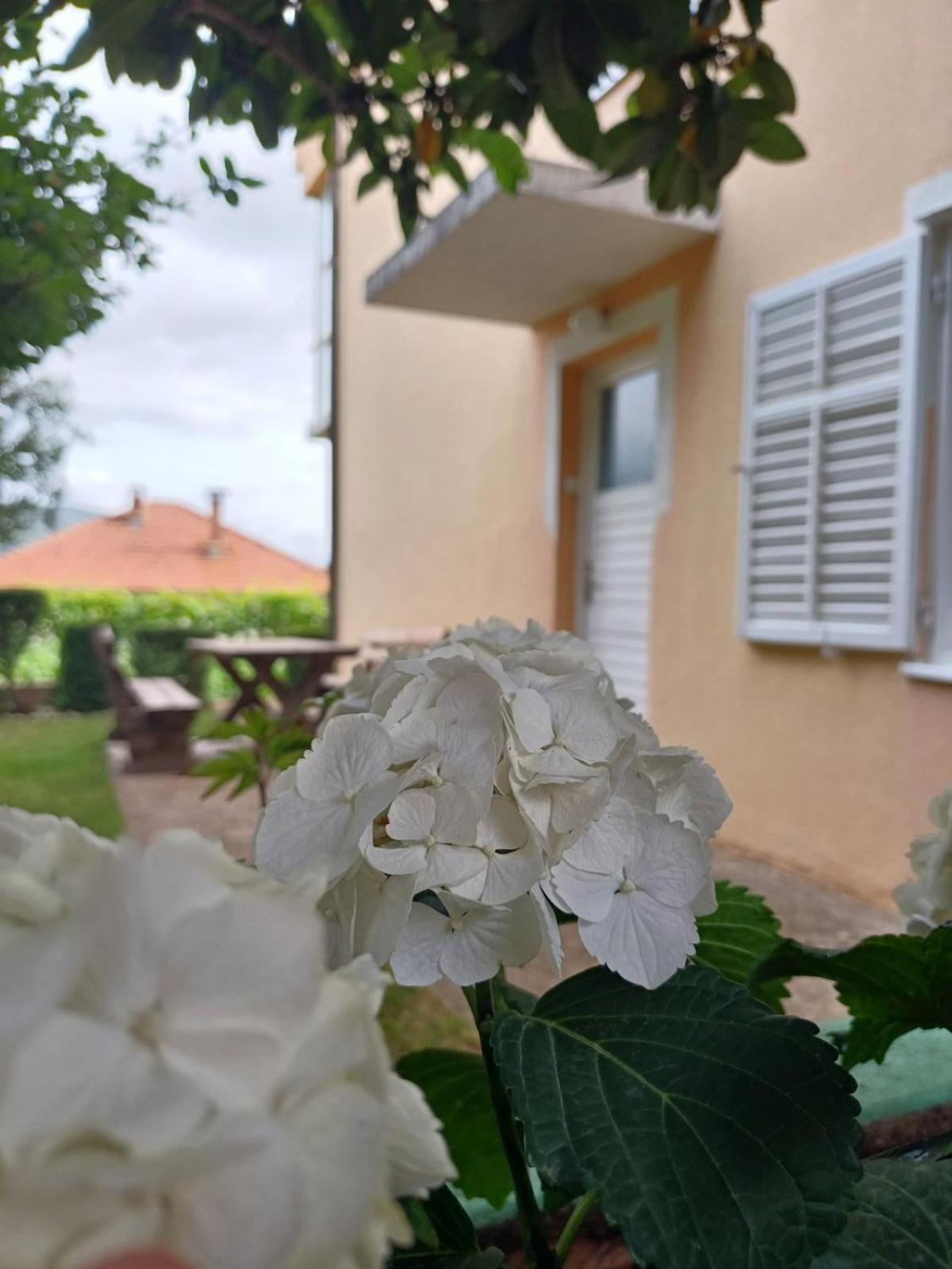 Apartments For Friends Trebinje Luaran gambar