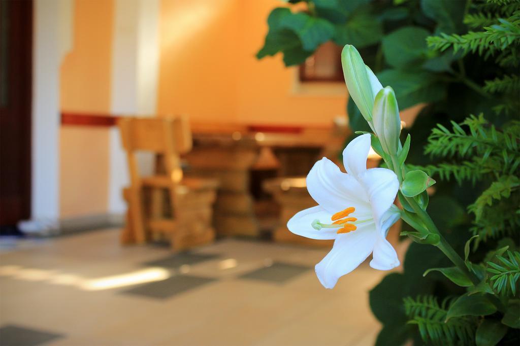 Apartments For Friends Trebinje Luaran gambar